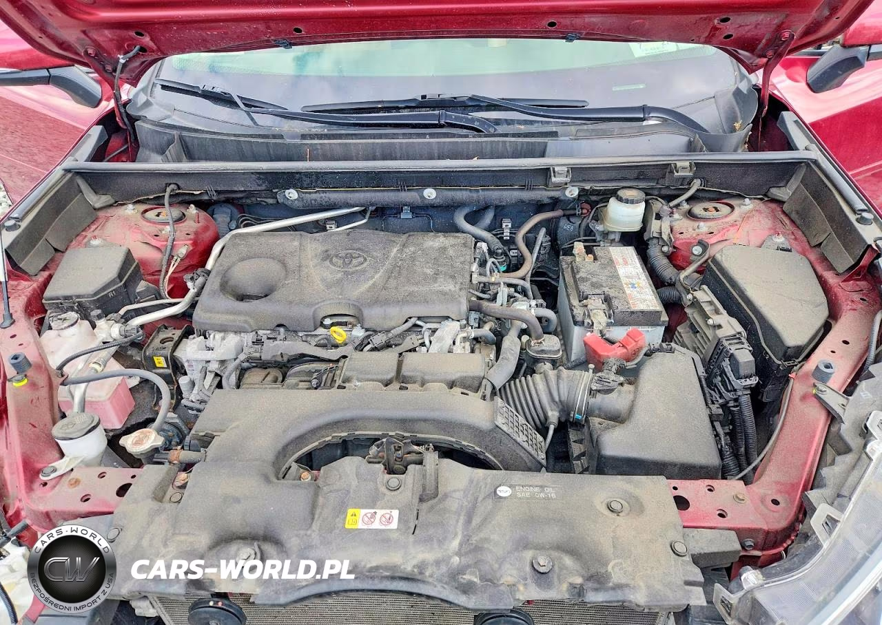 2019 Toyota Rav4 Limited VIN:JTMN1RFV4KD006356 - 11