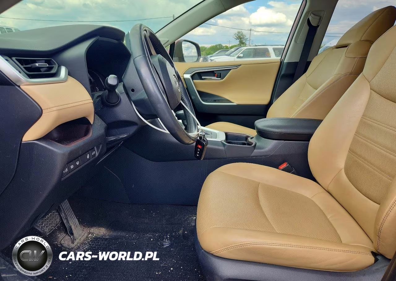 2019 Toyota Rav4 Limited VIN:JTMN1RFV4KD006356 - 7