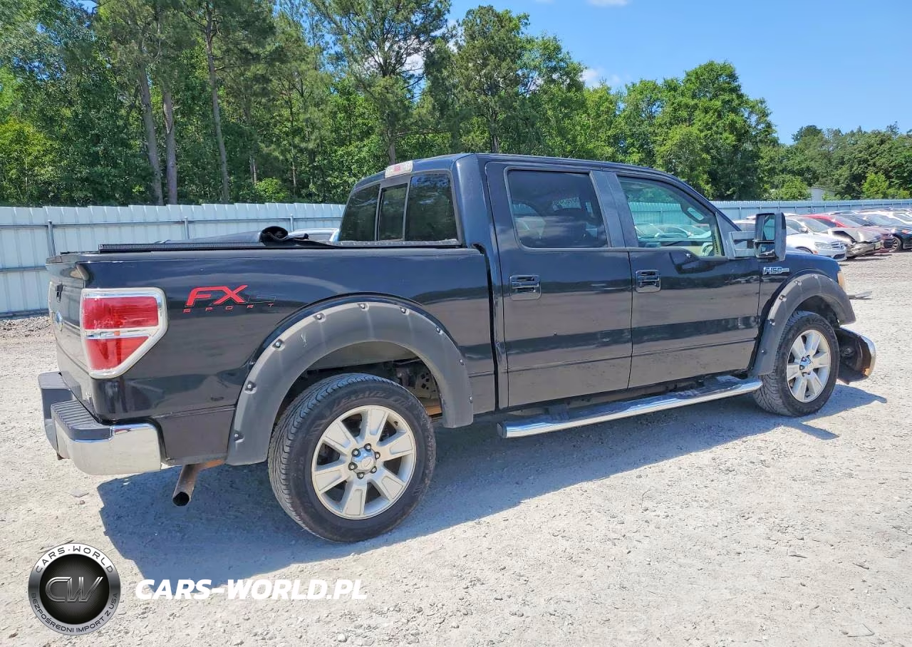 2010 Ford F150 Supercrew VIN:1FTFW1CV5AFA92274 - 3