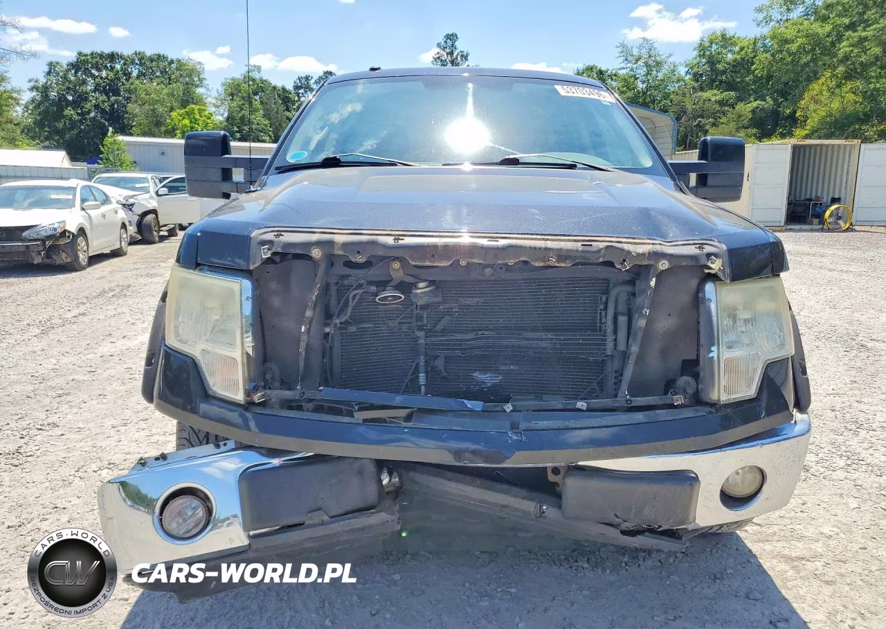 2010 Ford F150 Supercrew VIN:1FTFW1CV5AFA92274 - 5