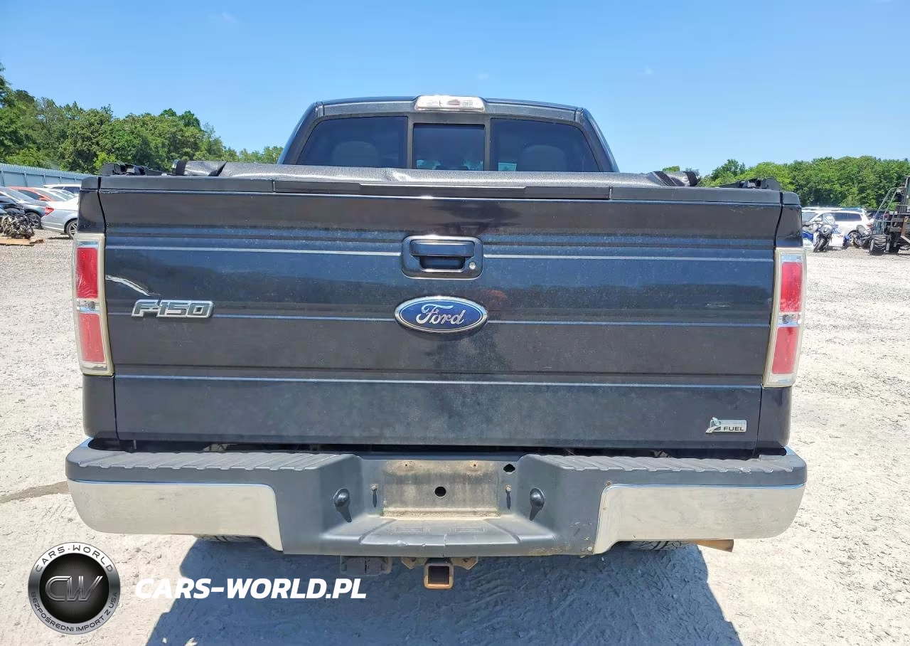 2010 Ford F150 Supercrew VIN:1FTFW1CV5AFA92274 - 6