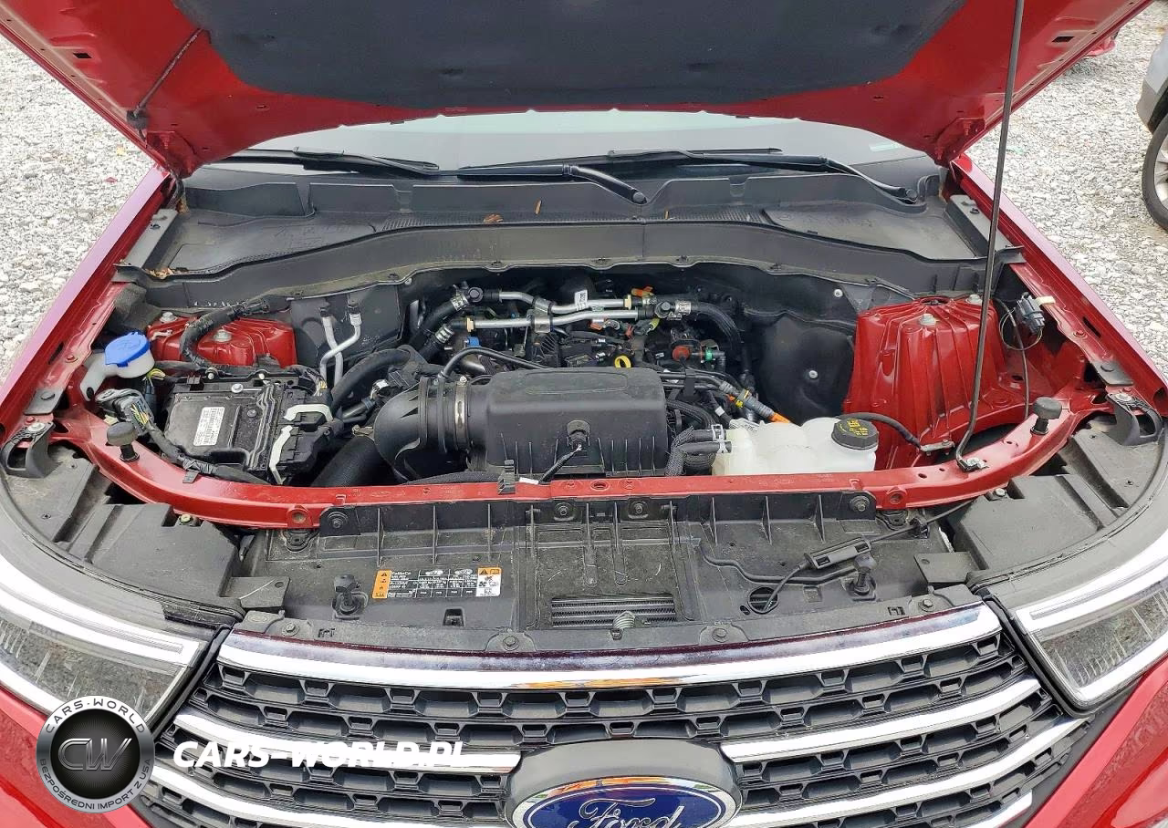2024 Ford Explorer Xlt VIN:1FMSK8DHXRGA16448 - 12