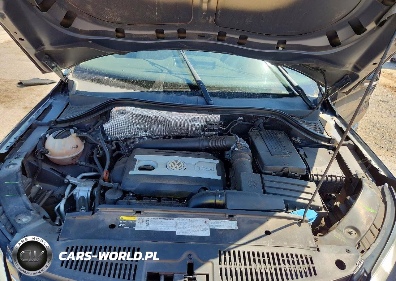 2013 Volkswagen Tiguan S VIN:WVGAV3AXXDW569861 - 12