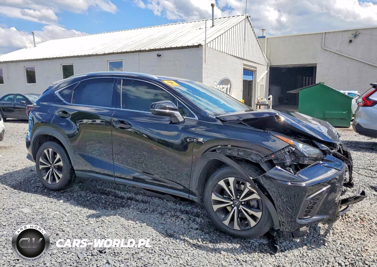 2018 Lexus Nx 300 F Sport VIN:JTJBARBZ0J2163014 - 4