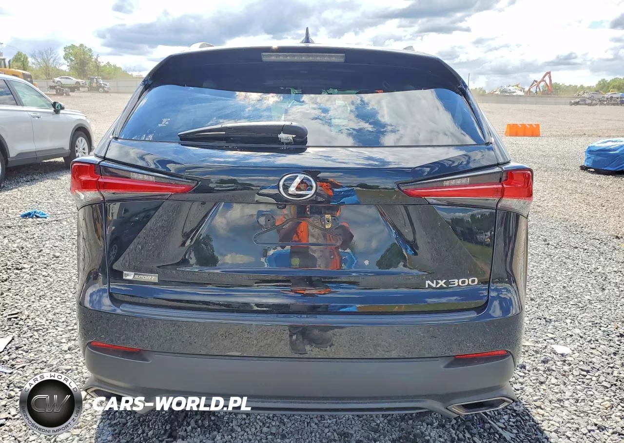 2018 Lexus Nx 300 F Sport VIN:JTJBARBZ0J2163014 - 6