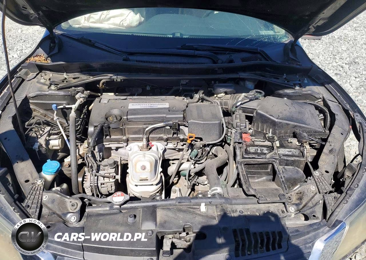 2015 Honda Accord Exl VIN:1HGCR2F87FA202060 - 7