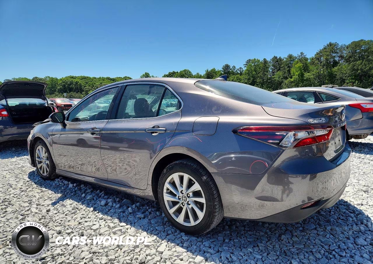 2021 Toyota Camry Le VIN:4T1C11AK5MU450396 - 2