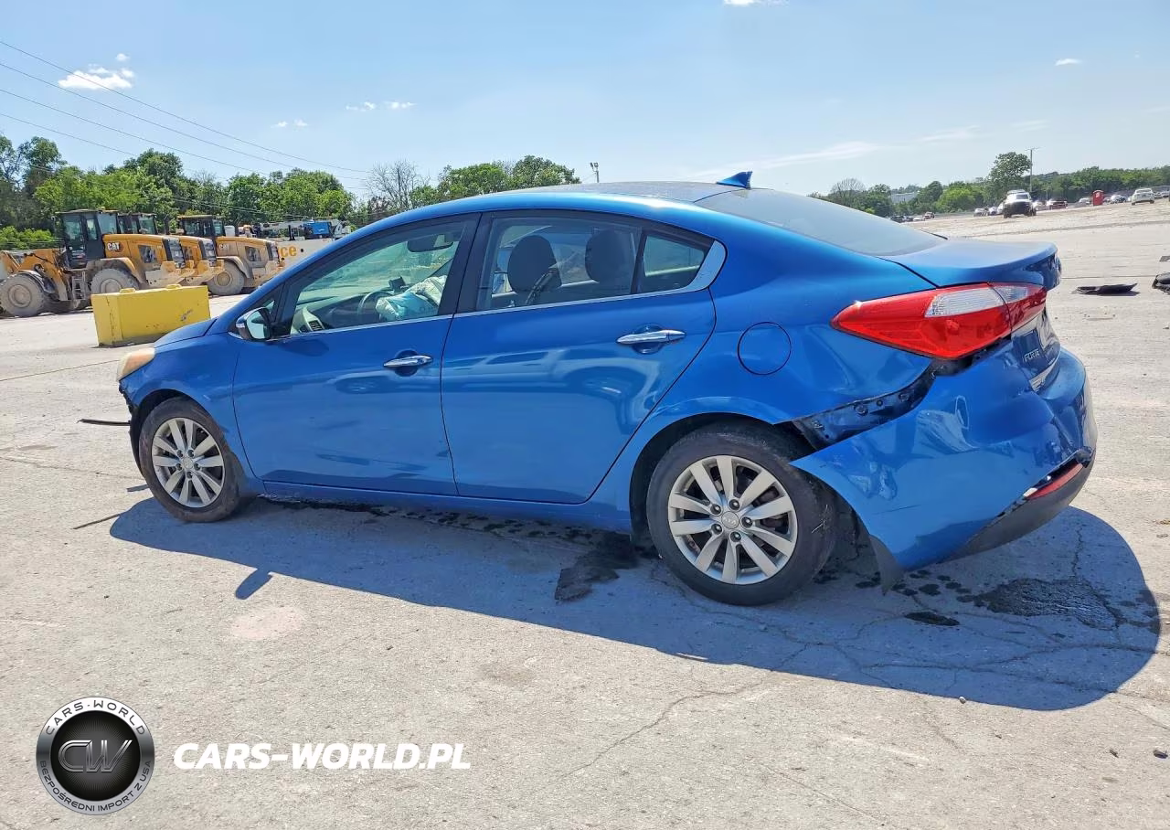 2014 Kia Forte VIN:KNAFX4A87E5052427 - 2