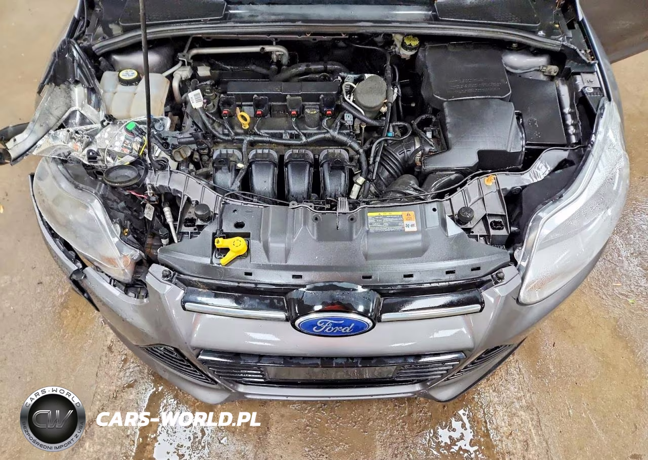 2014 Ford Focus Se VIN:1FADP3F27EL419188 - 11