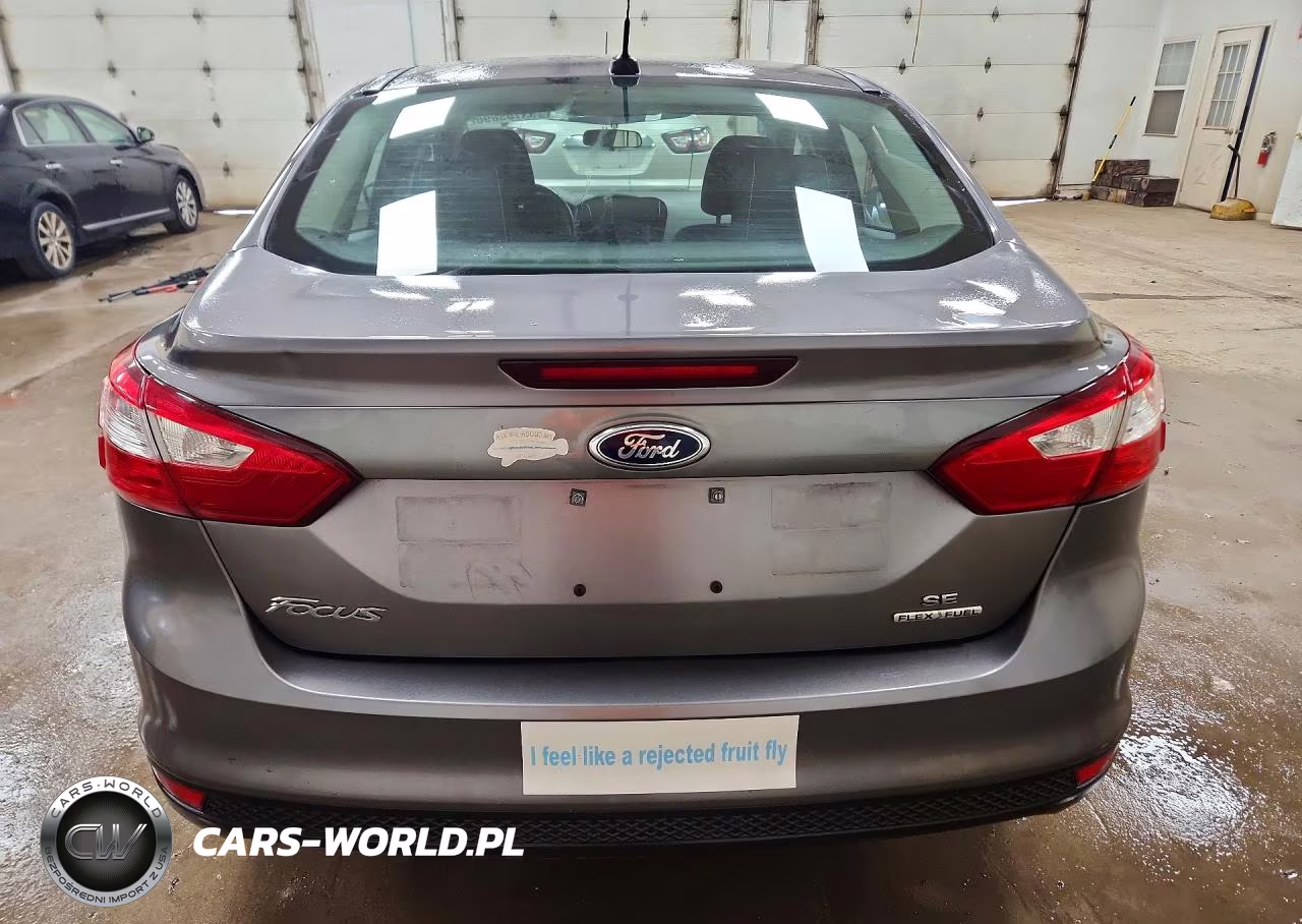 2014 Ford Focus Se VIN:1FADP3F27EL419188 - 6