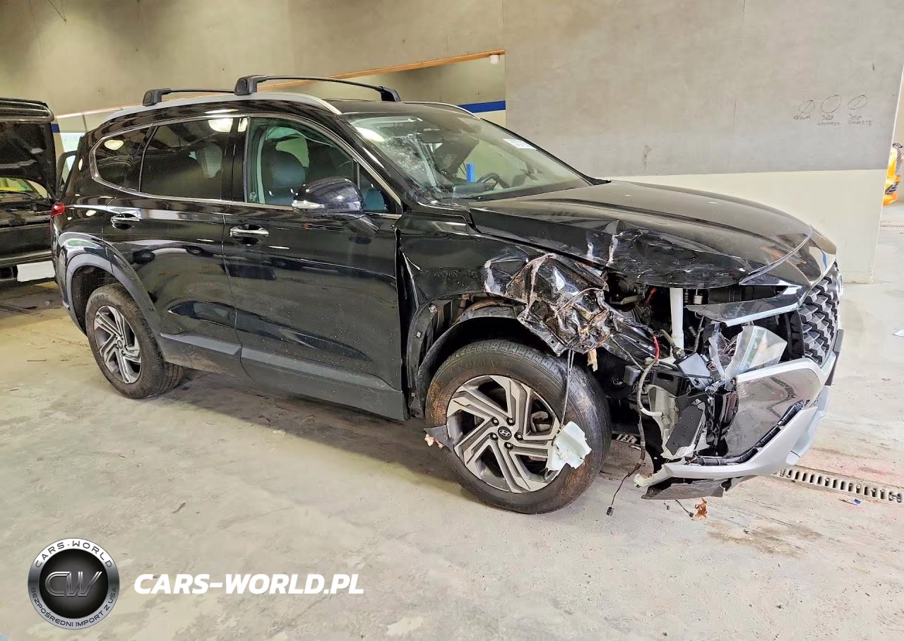 2023 Hyundai Santa Fe Sel VIN:5NMS24AJ2PH608842 - 4