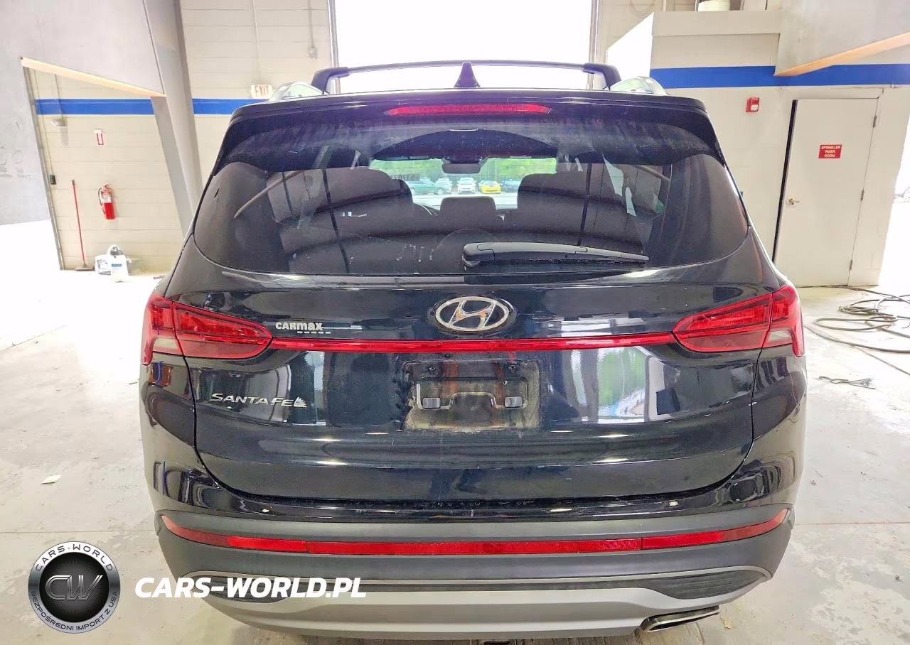 2023 Hyundai Santa Fe Sel VIN:5NMS24AJ2PH608842 - 6