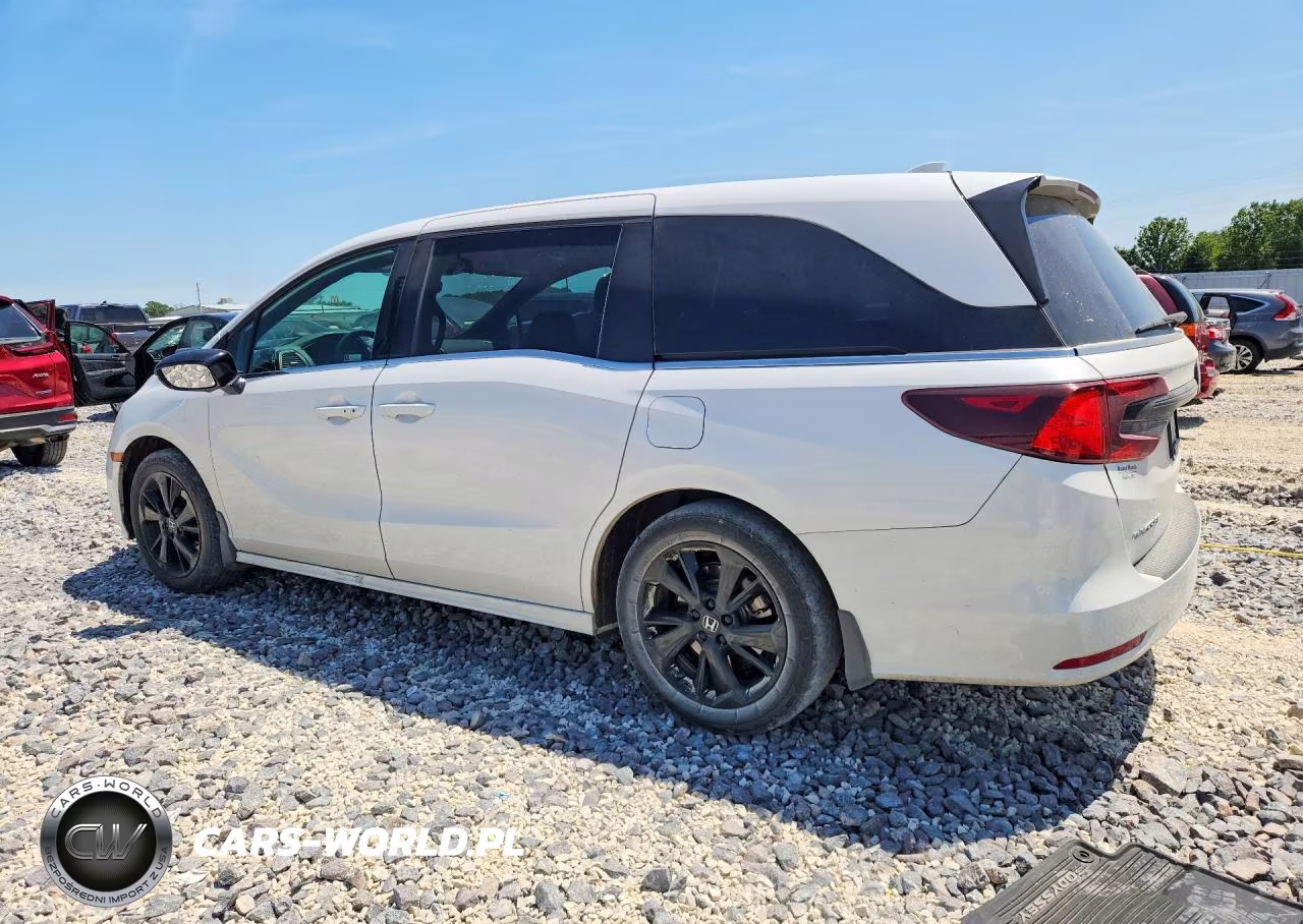 2024 Honda Odyssey Sport VIN:5FNRL6H74RB003050 - 2
