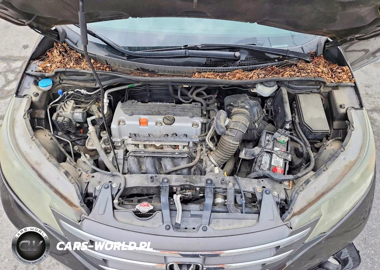2014 Honda Cr-V Exl VIN:2HKRM4H70EH654544 - 12