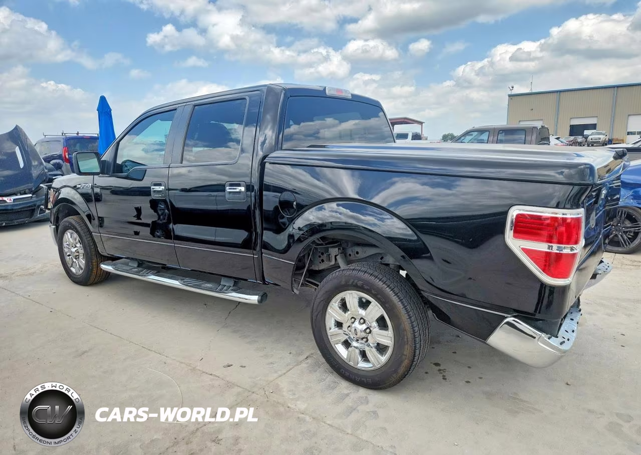 2009 Ford F150 Supercrew VIN:1FTRW12819KB42227 - 2