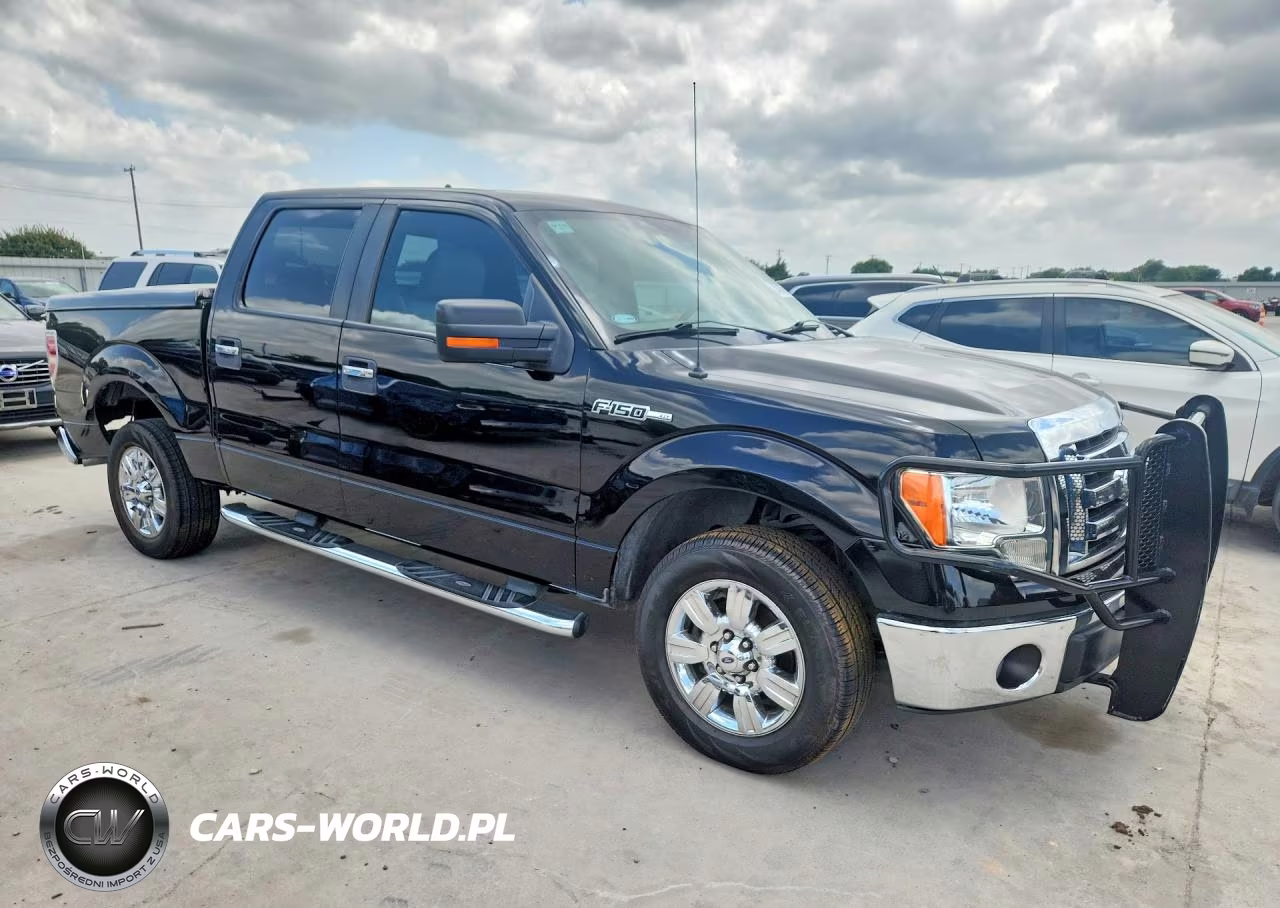 2009 Ford F150 Supercrew VIN:1FTRW12819KB42227 - 4