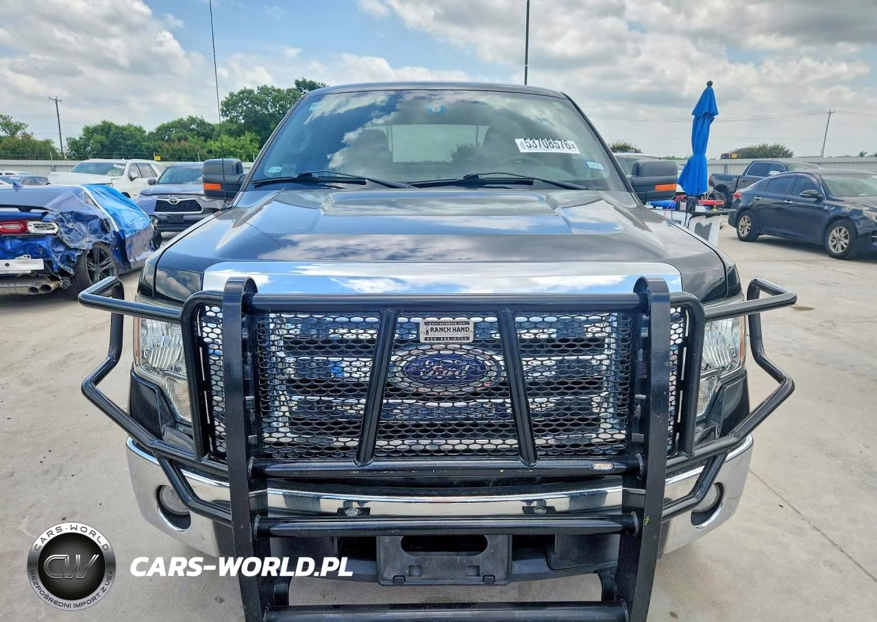 2009 Ford F150 Supercrew VIN:1FTRW12819KB42227 - 5
