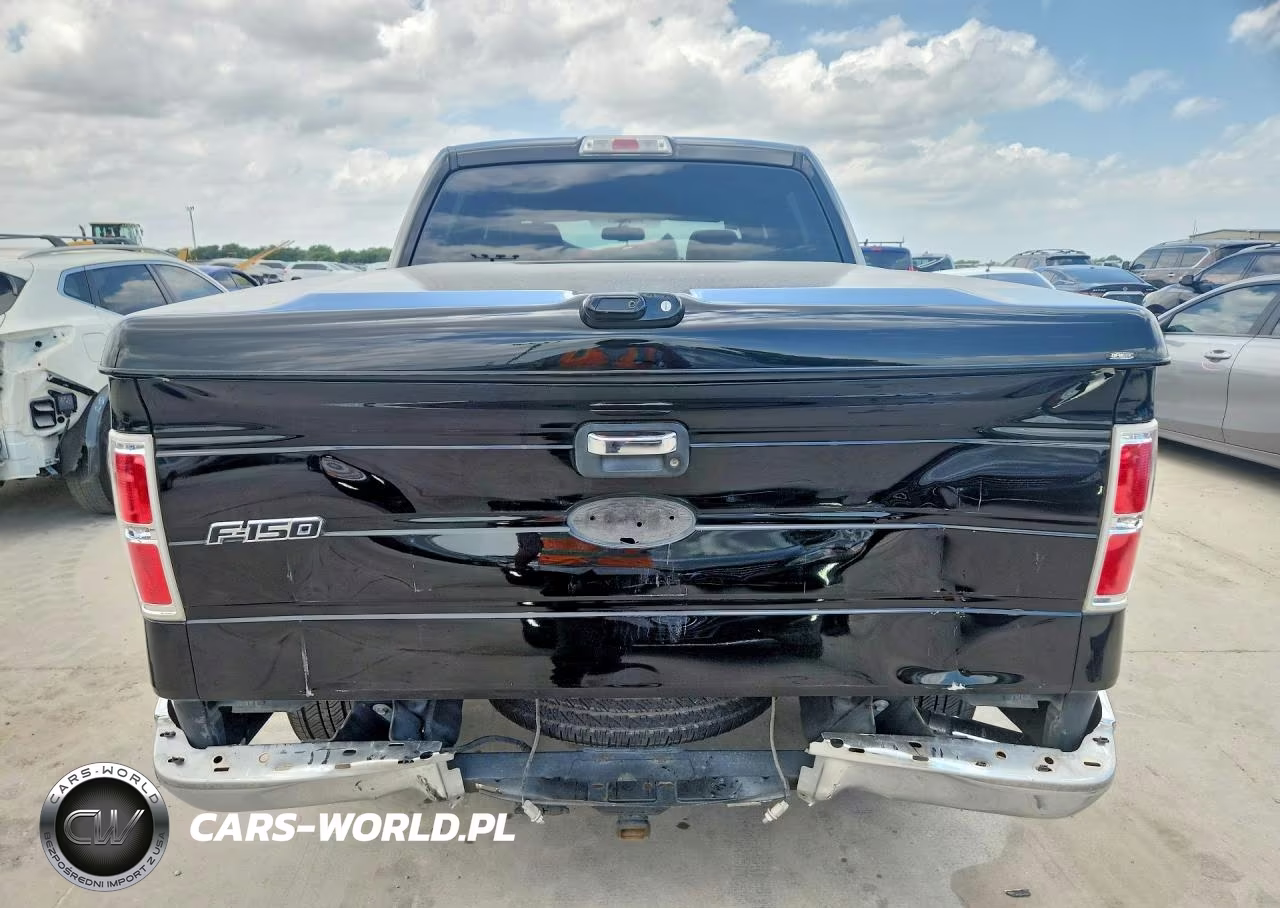 2009 Ford F150 Supercrew VIN:1FTRW12819KB42227 - 6