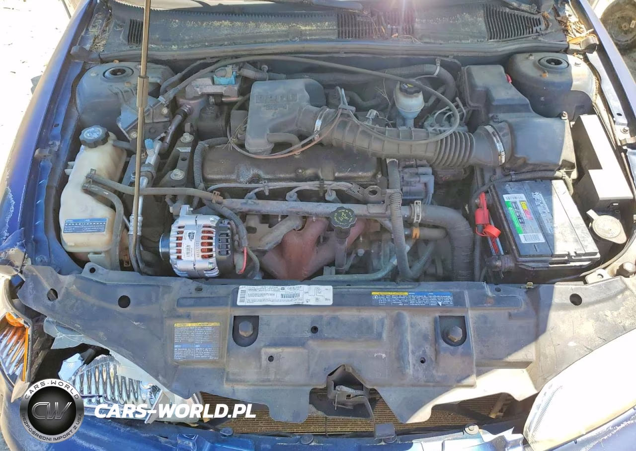 2002 Chevrolet Cavalier Ls VIN:1G1JS124127485790 - 11