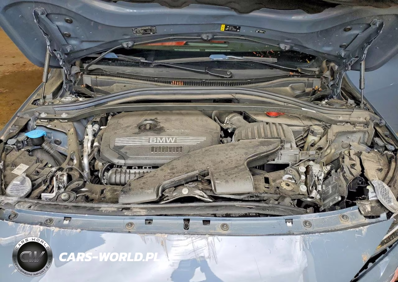 2021 BMW 228Xi VIN:WBA73AK09M7H41088 - 11