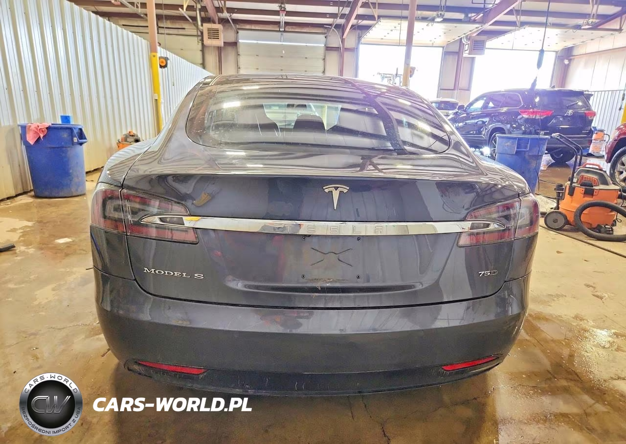 2016 Tesla Model S VIN:5YJSA1E22GF166893 - 6