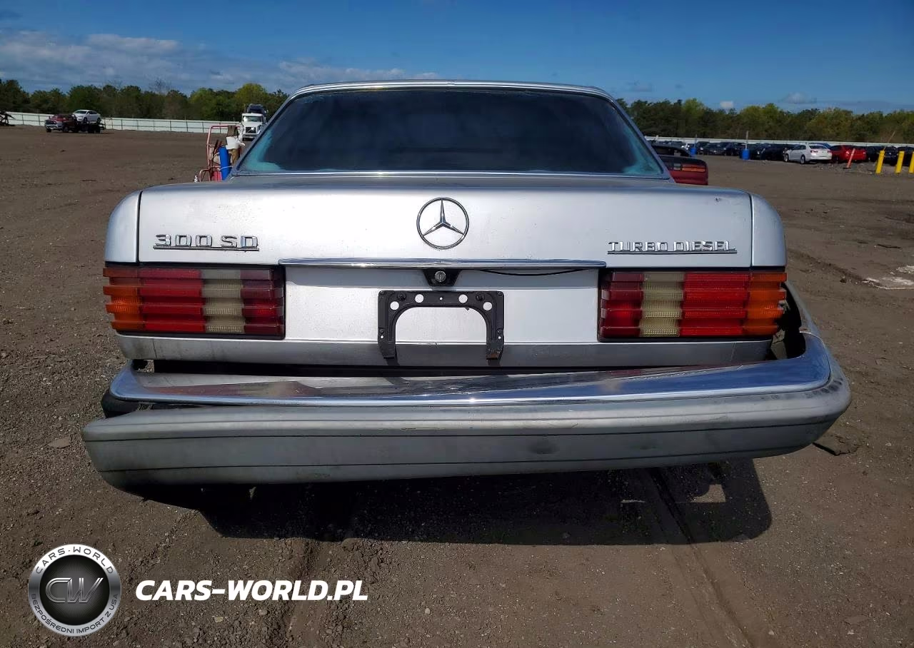 1985 Mercedes-Benz 300 Sd VIN:WDBCB20C3FA135570 - 6