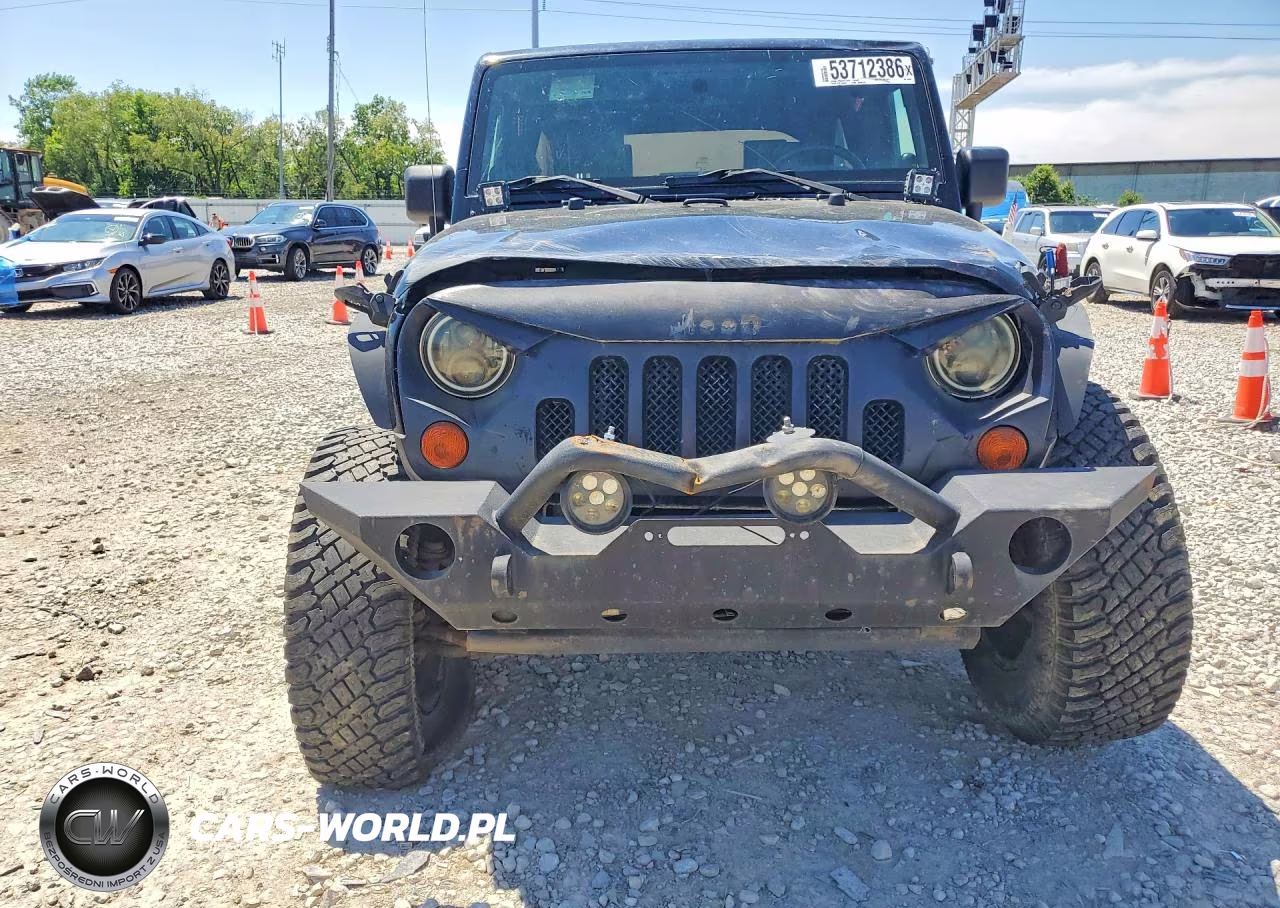 2009 Jeep Wrangler Unlimited Rubicon VIN:1J8GA69179L703383 - 5