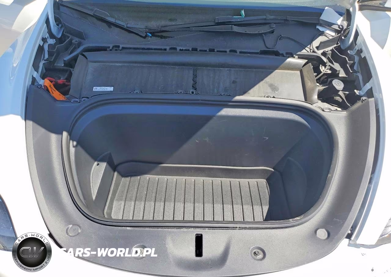 2023 Tesla Model Y VIN:7SAYGDEE5PF689378 - 11