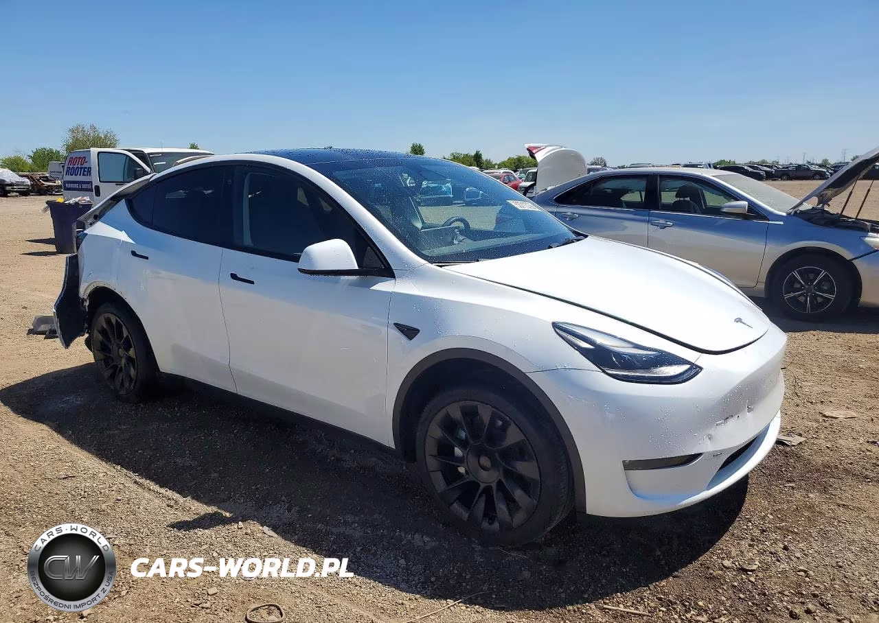 2023 Tesla Model Y VIN:7SAYGDEE5PF689378 - 4