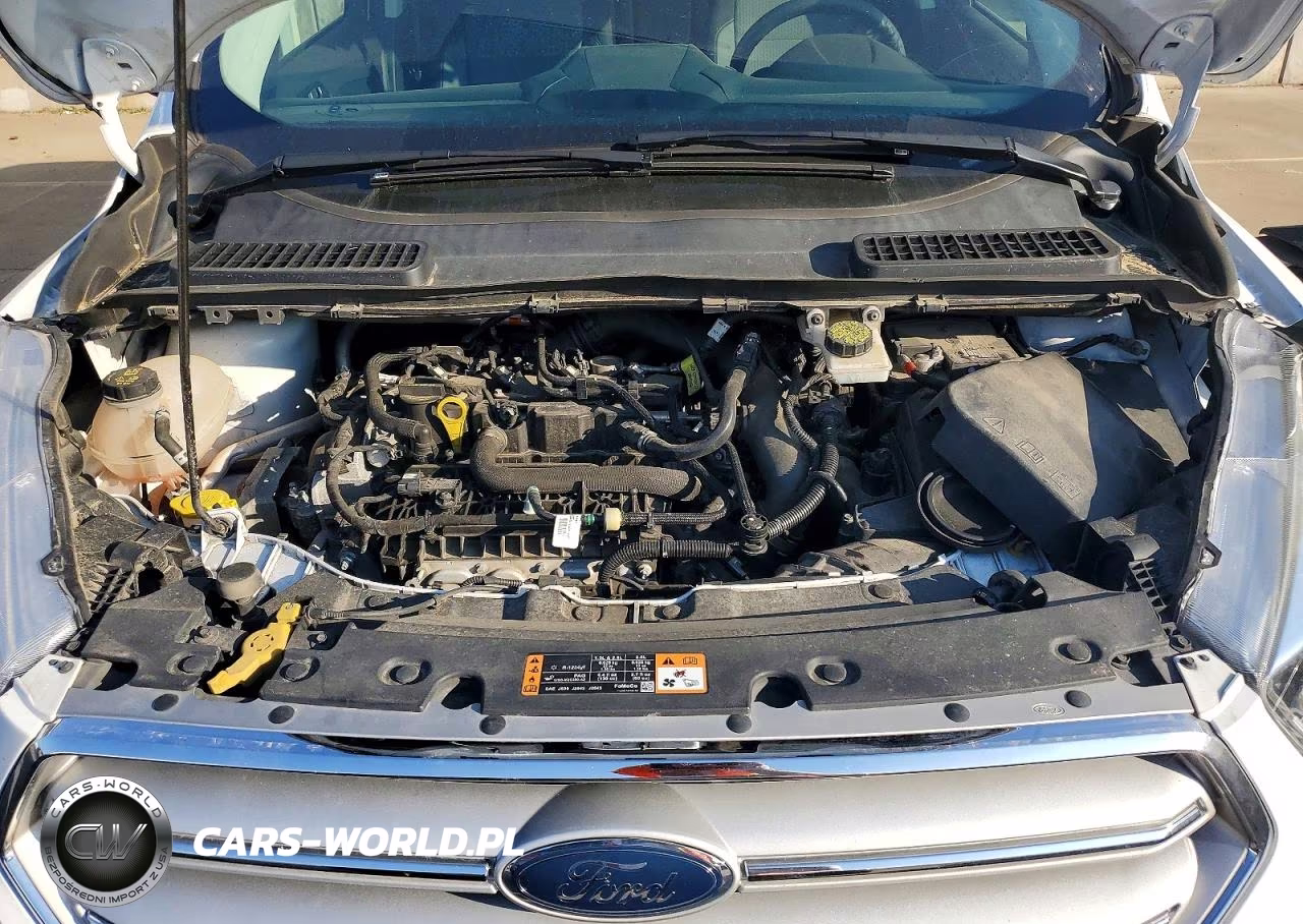 2019 Ford Escape Se VIN:1FMCU0GD5KUB99287 - 12
