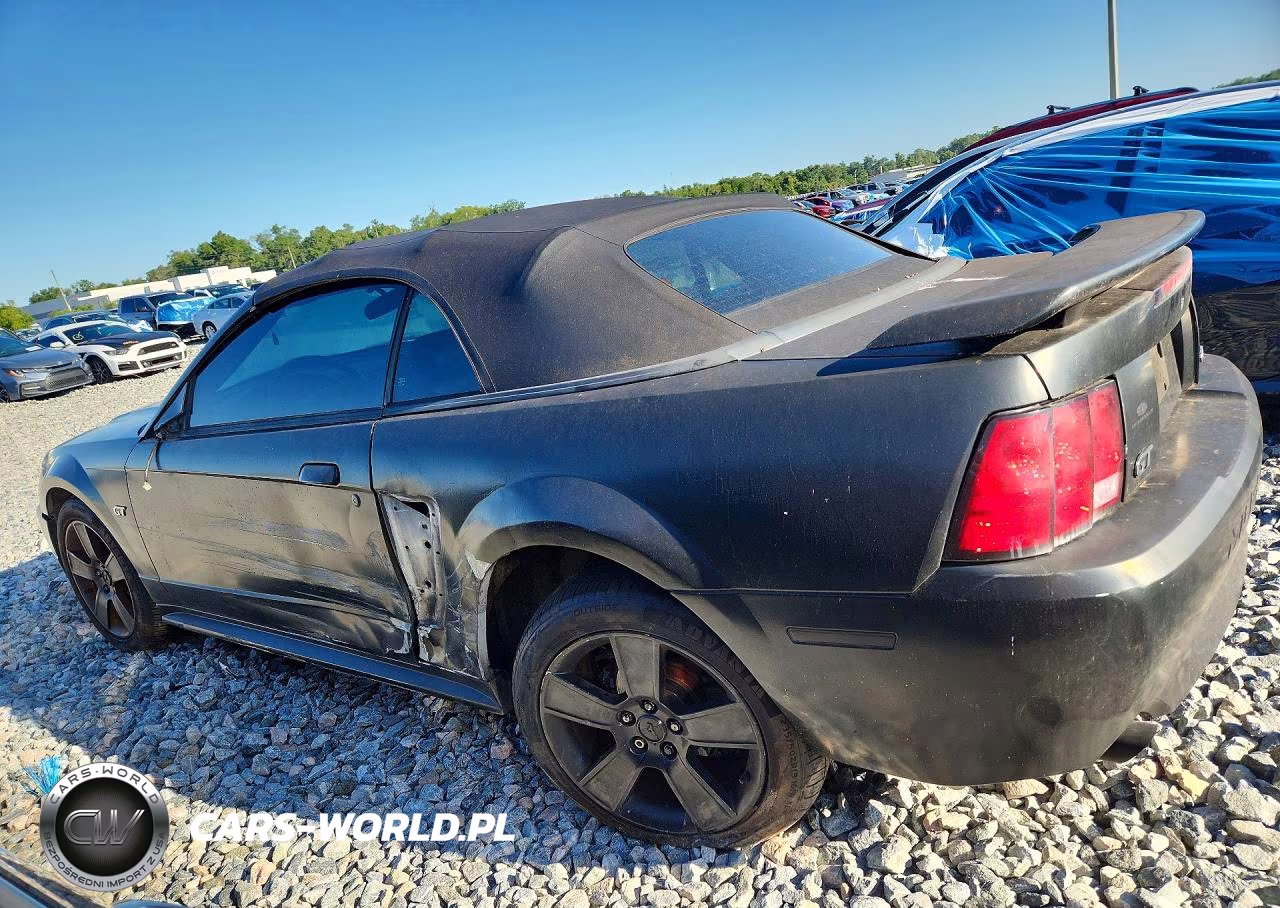 2002 Ford Mustang Gt VIN:1FAFP45X12F187824 - 2