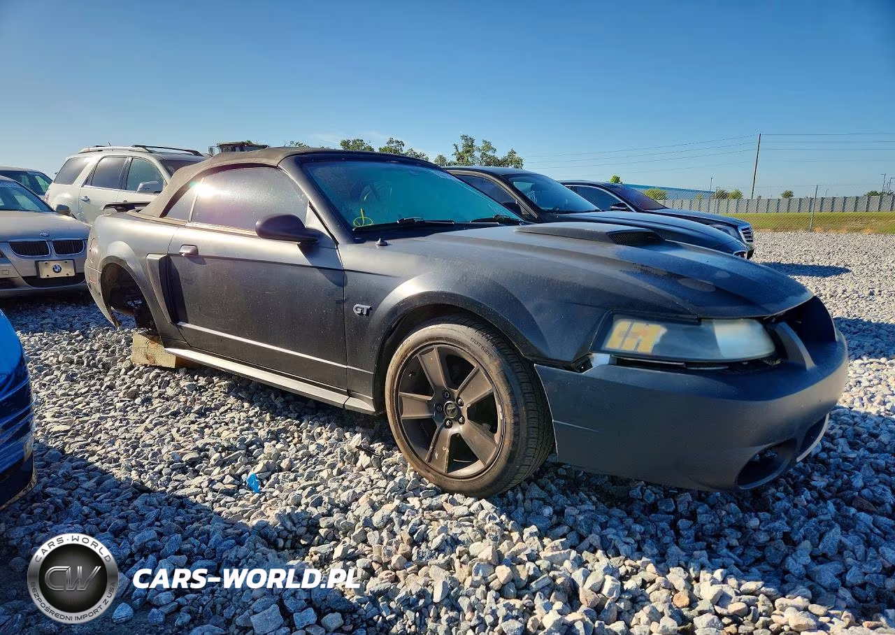 2002 Ford Mustang Gt VIN:1FAFP45X12F187824 - 4