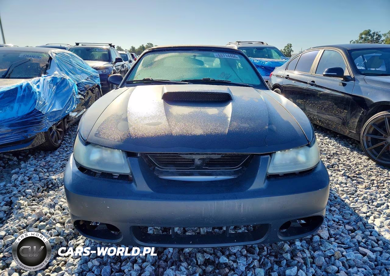 2002 Ford Mustang Gt VIN:1FAFP45X12F187824 - 5