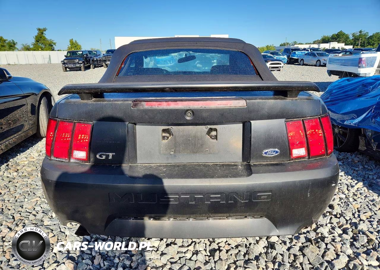 2002 Ford Mustang Gt VIN:1FAFP45X12F187824 - 6