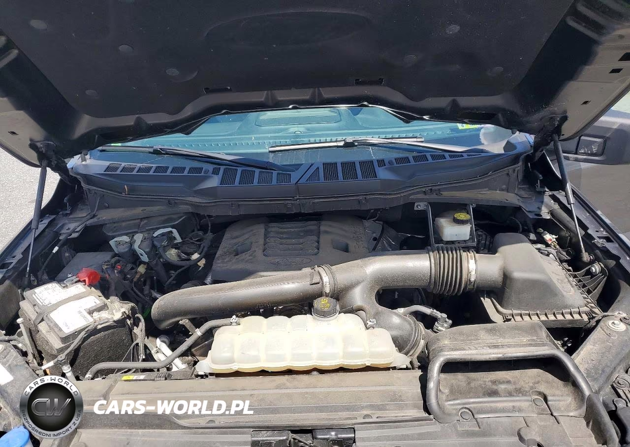 2022 Ford F150 Supercrew VIN:1FTFW1E89NFB24284 - 11