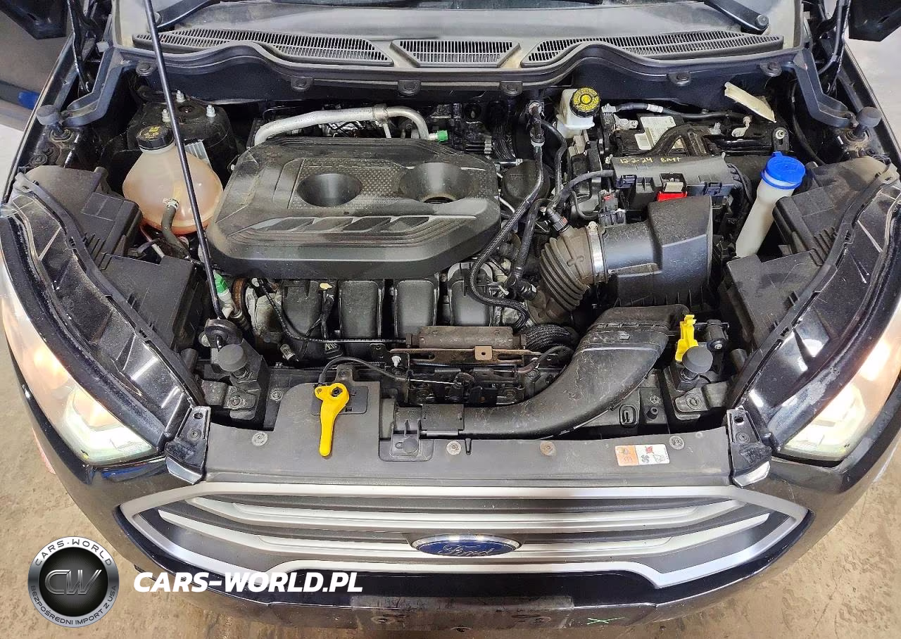 2018 Ford Ecosport Se VIN:MAJ6P1UL7JC191146 - 12