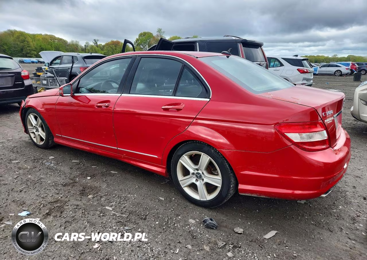 2010 Mercedes-Benz C 300 4Matic VIN:WDDGF8BB1AR124193 - 2
