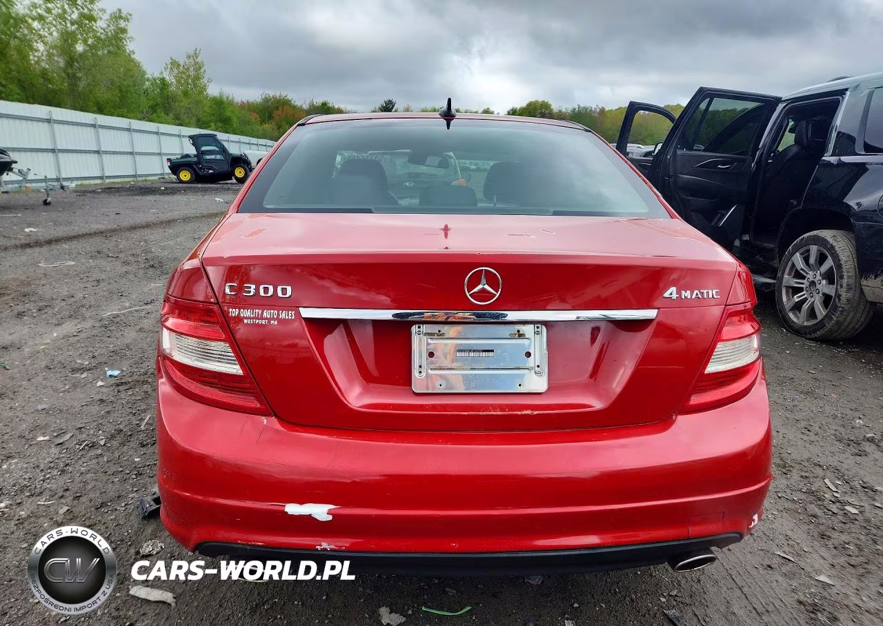 2010 Mercedes-Benz C 300 4Matic VIN:WDDGF8BB1AR124193 - 6