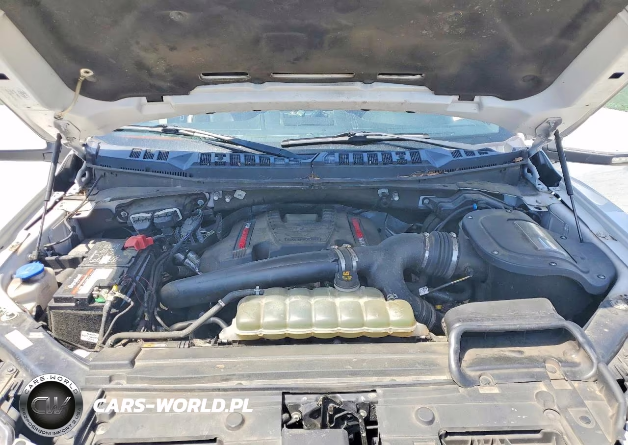 2020 Ford F150 Raptor VIN:1FTFW1RG4LFC22136 - 11