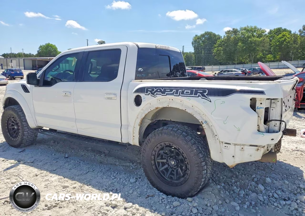 2020 Ford F150 Raptor VIN:1FTFW1RG4LFC22136 - 2