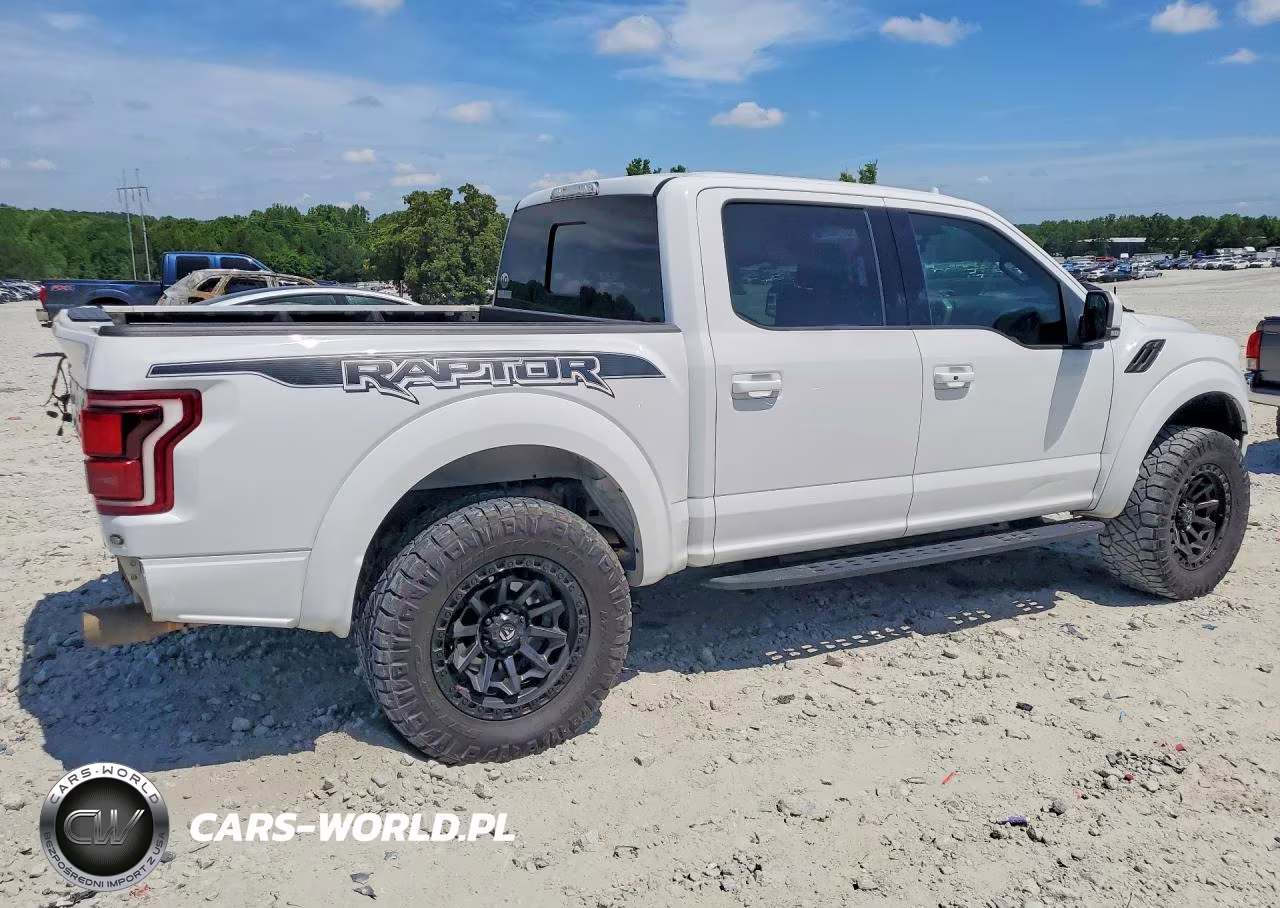 2020 Ford F150 Raptor VIN:1FTFW1RG4LFC22136 - 3