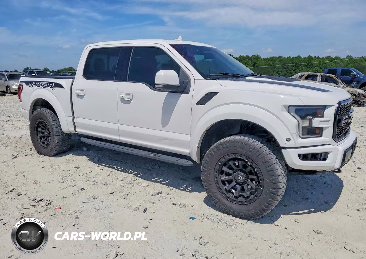 2020 Ford F150 Raptor VIN:1FTFW1RG4LFC22136 - 4