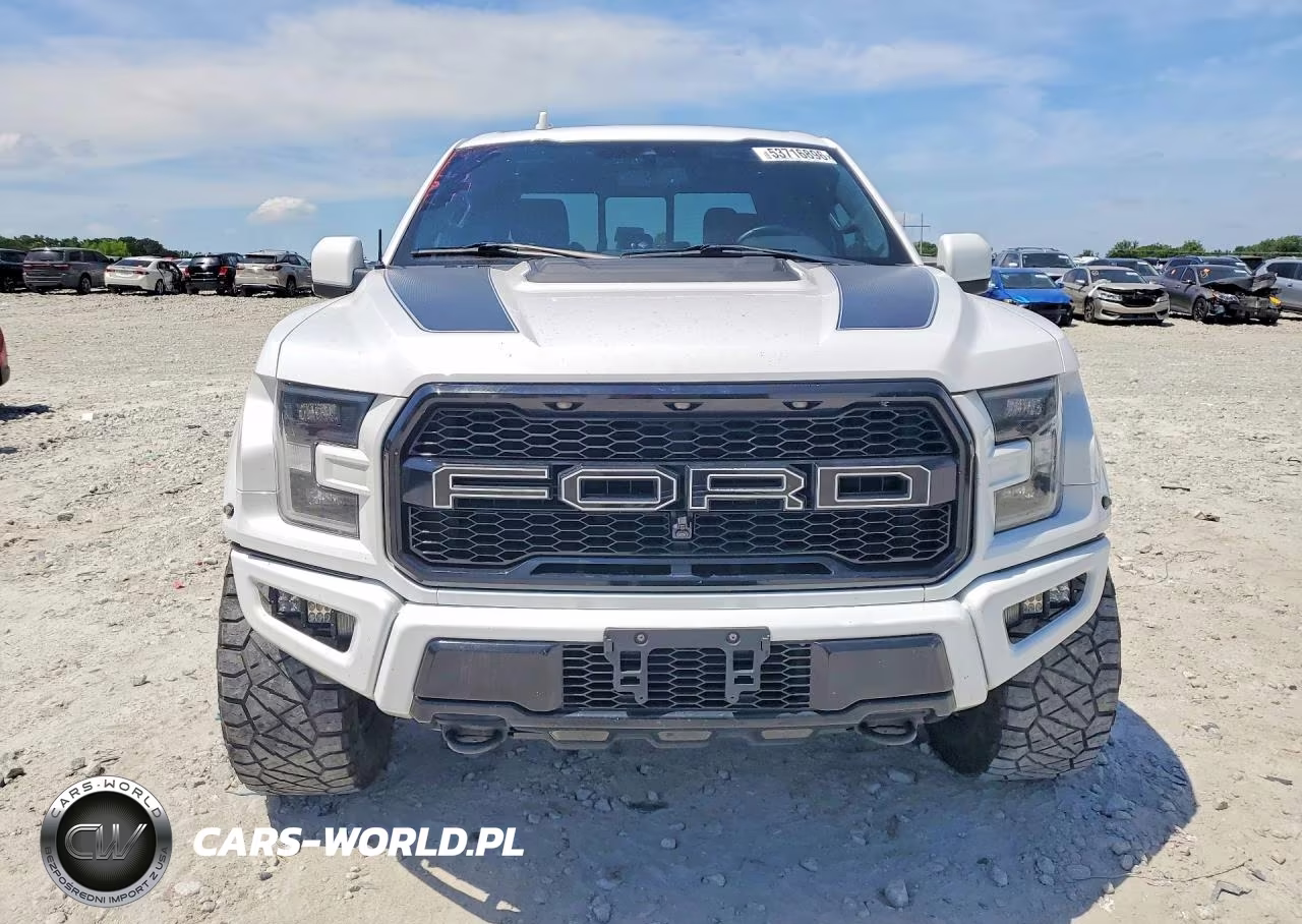2020 Ford F150 Raptor VIN:1FTFW1RG4LFC22136 - 5