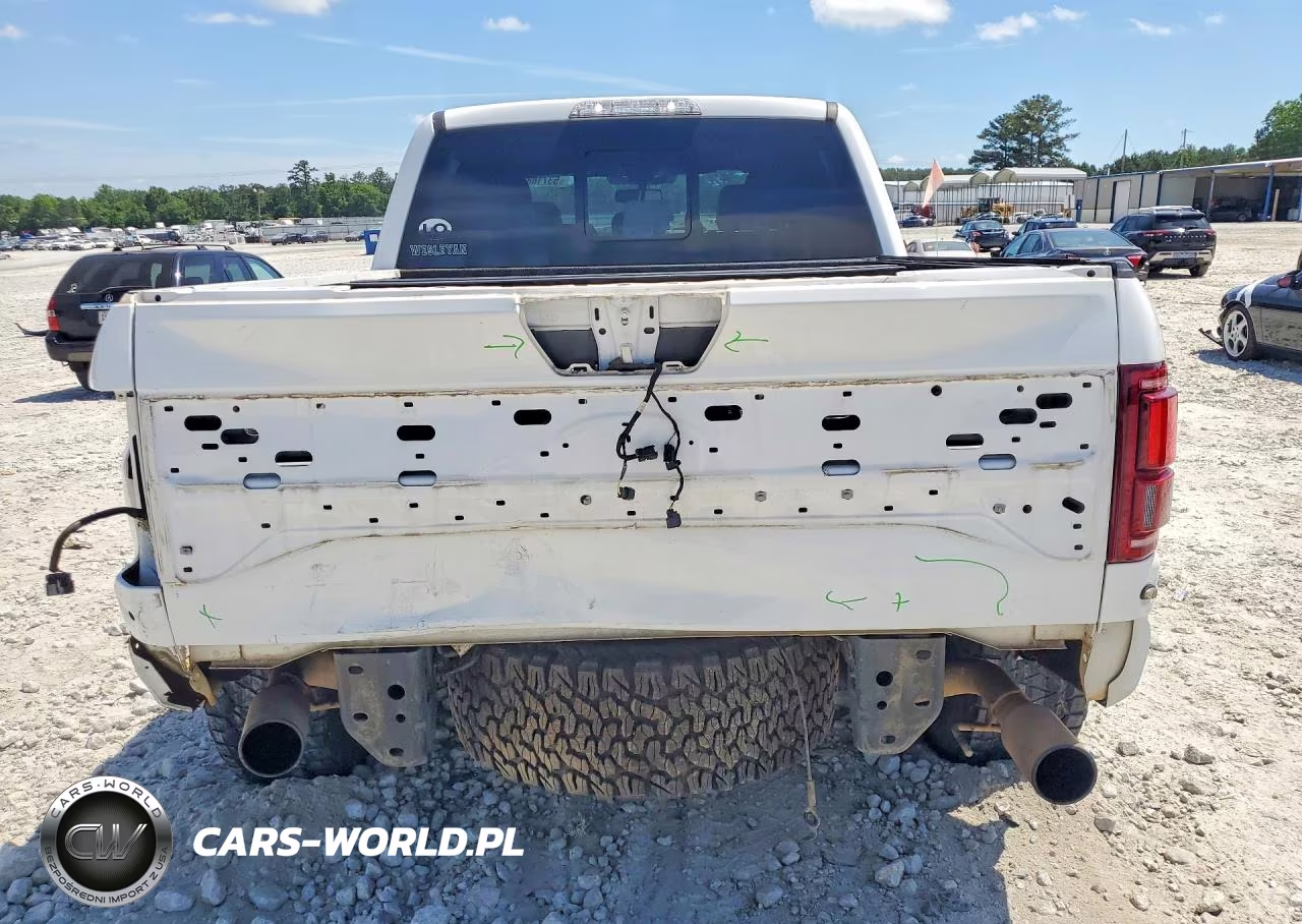 2020 Ford F150 Raptor VIN:1FTFW1RG4LFC22136 - 6