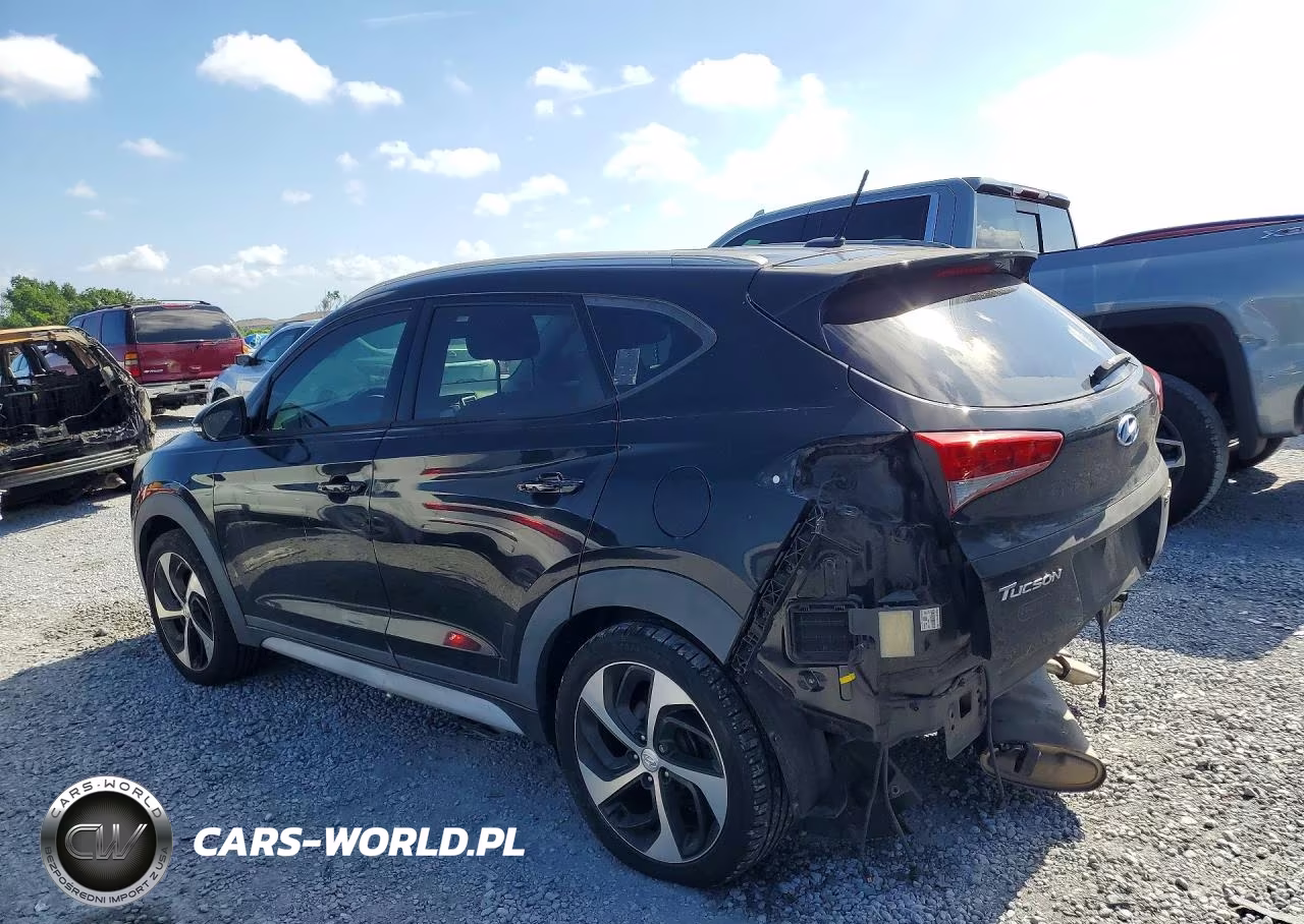 2017 Hyundai Tucson Sport VIN:KM8J33A22HU480488 - 2