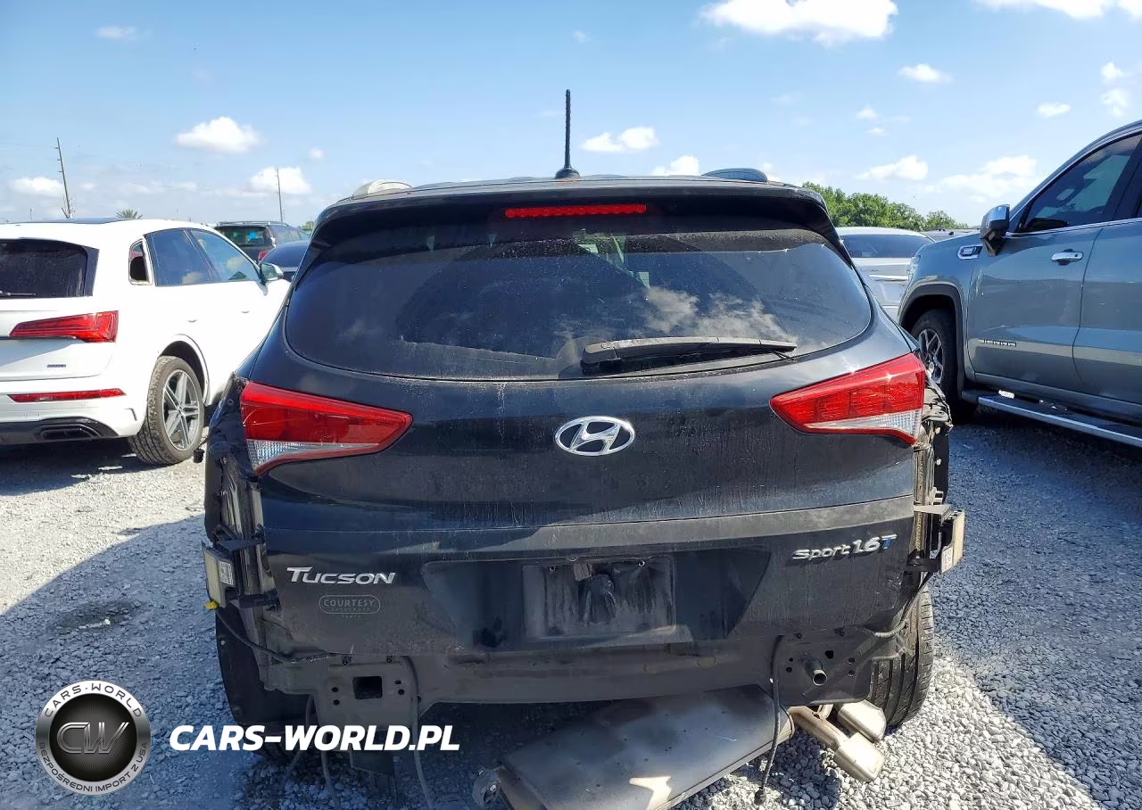 2017 Hyundai Tucson Sport VIN:KM8J33A22HU480488 - 6