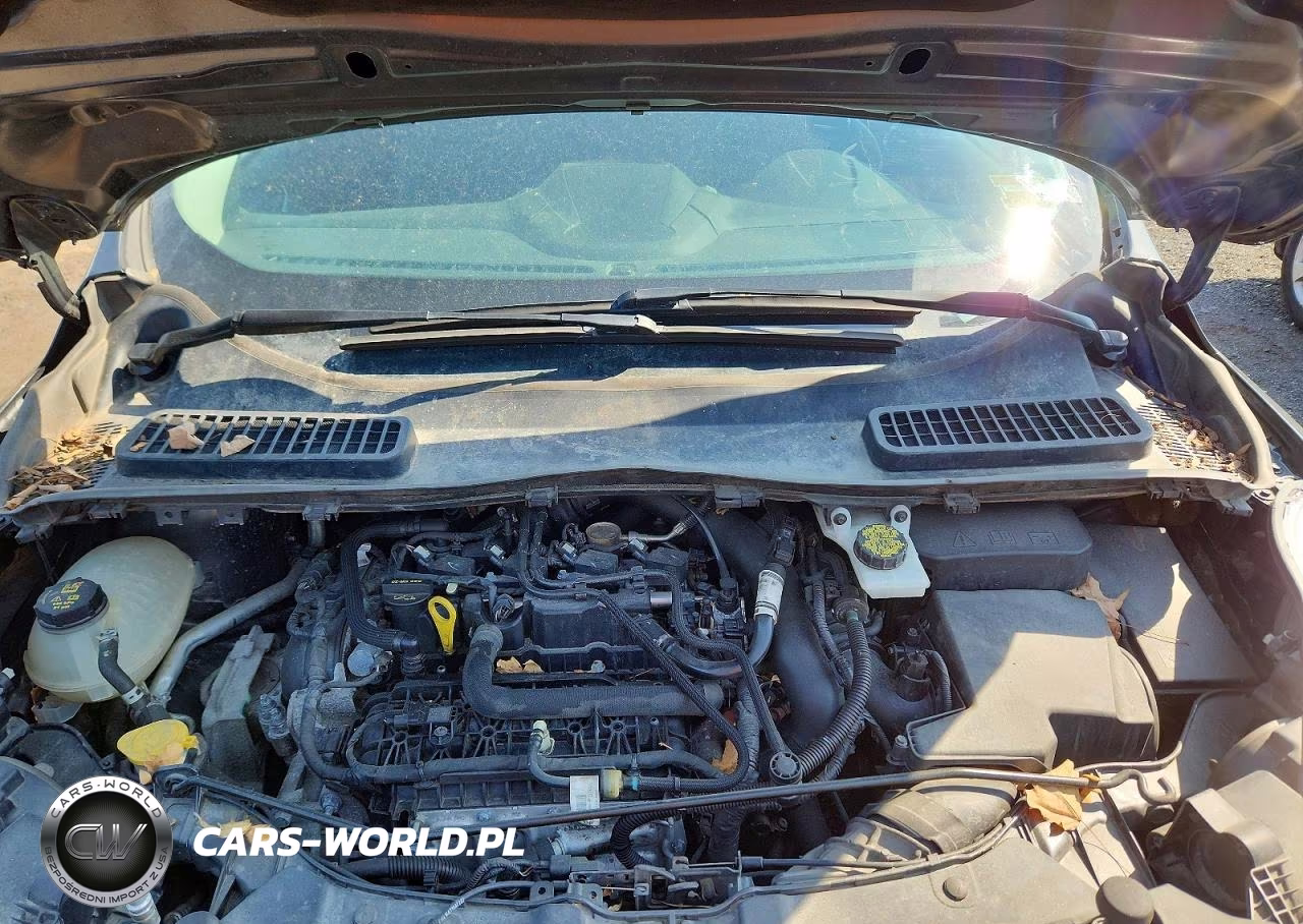 2019 Ford Escape Se VIN:1FMCU9GDXKUA08452 - 12