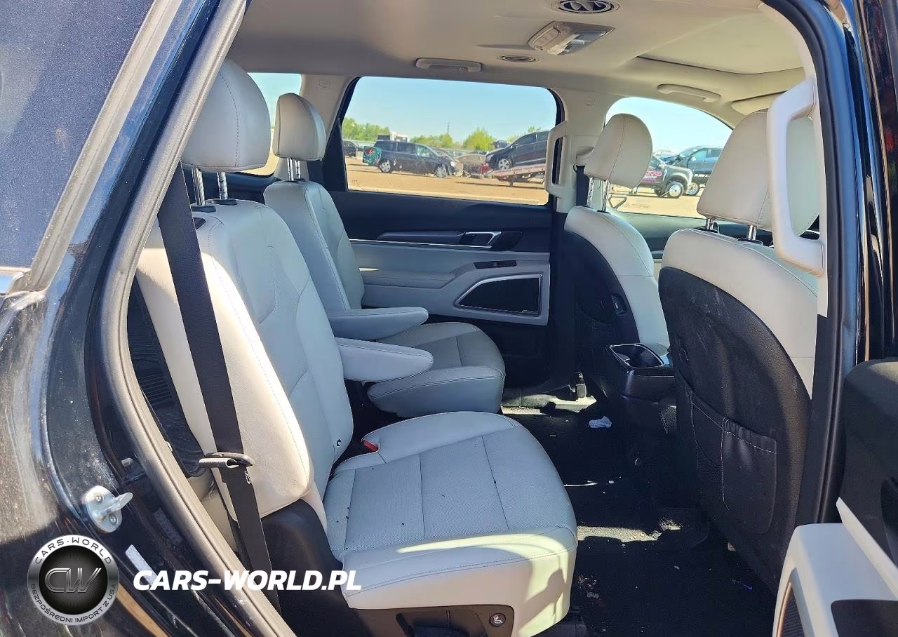 2020 Kia Telluride S VIN:5XYP6DHC9LG071084 - 10