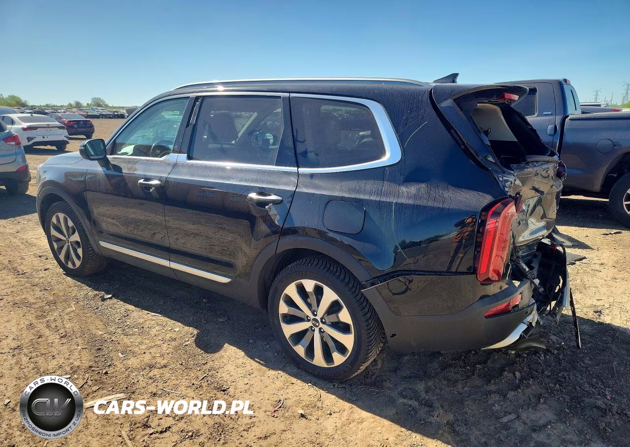 2020 Kia Telluride S VIN:5XYP6DHC9LG071084 - 2