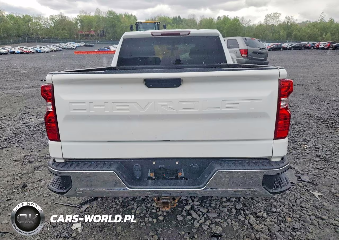 2020 Chevrolet Silverado K1500 Lt VIN:1GCRYDEK1LZ178677 - 6